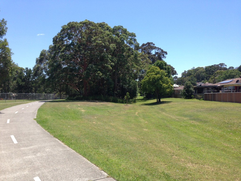 Looking north from Vista Pde Kotara, the present day cycle track veers away to the left of the original rail line