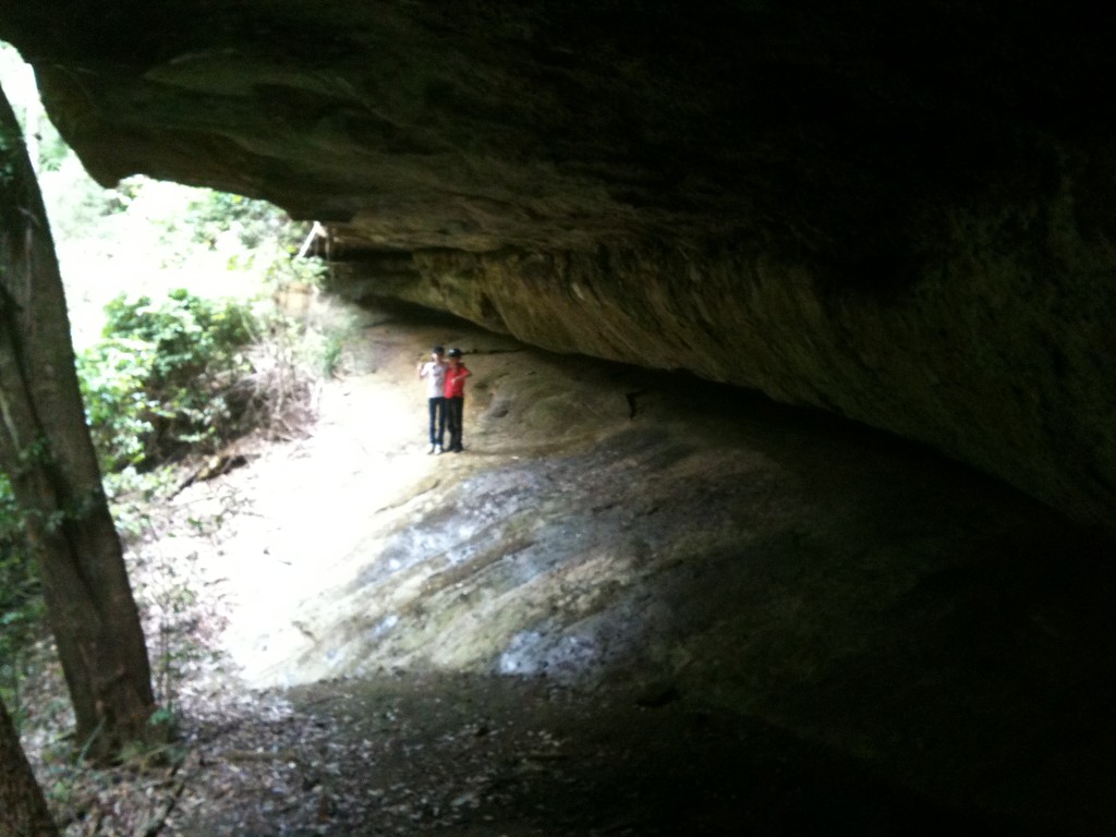 Cave at the end of the Wishing Well track in the Watagans
